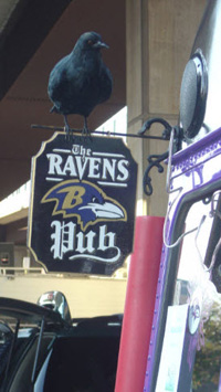 Baltimore Ravens Pub