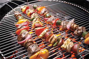Fire Wire Grilling Skewers